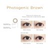 Seed Jill Stuart brown 2 daily cosmetic colour contact lenses tampines admiralty optical