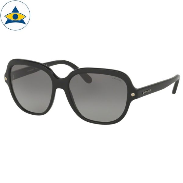 Coach 8192 - Image 2