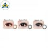 Qoo10 Oculus Freshkon alluring dailies color chart 2 cosmetic dailies contact lenses Tampines Optical Admiralty Optical