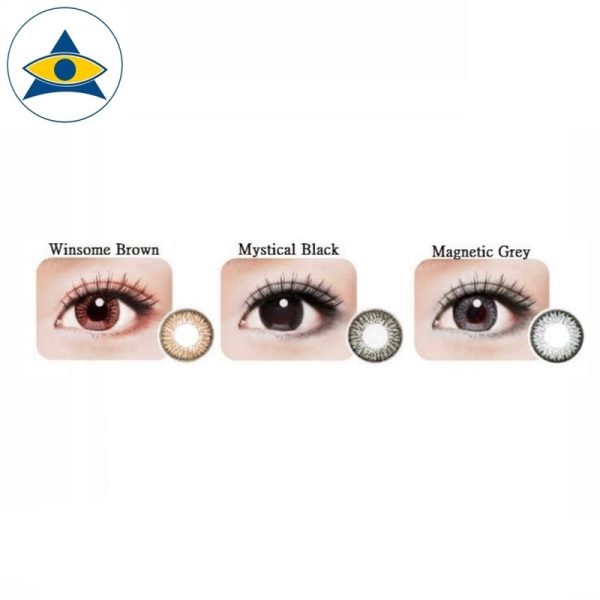 Alluring Daily (10pcs) - Image 2