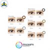 maxim green box daily chart cosmetic colour contact lenses tampines admiralty optical