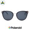 Polaroid sunglass 6061FS 807M9 Black Gold w Grey s5422 $128 tampines optical admiralty optical